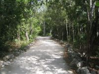 Trail at Parque Kabah