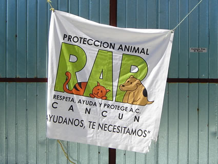 RAP Animal Rescue Cancun