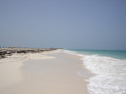 Isla Blanca: Looking north