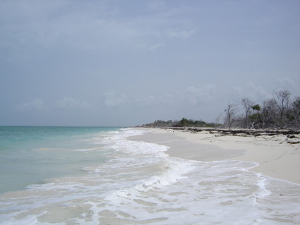 Isla Blanca: Looking north