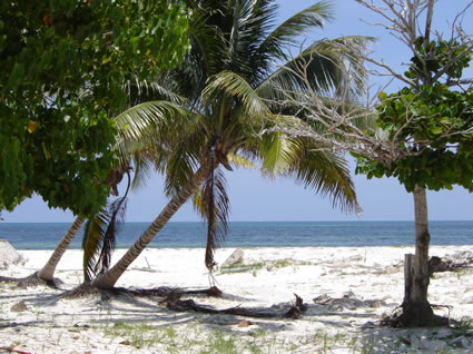 Petempich Beach Front Lot For Sale