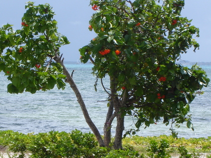 Puerto Cancun: View of sea