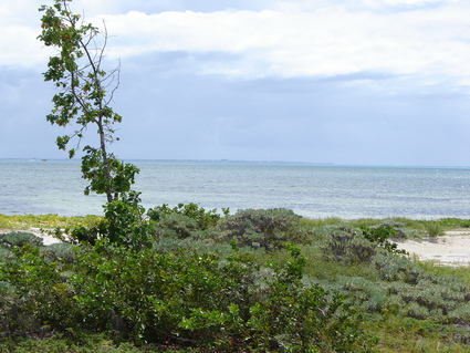 Puerto Cancun: View of sea