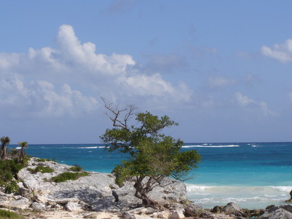 Tulum Shoreline